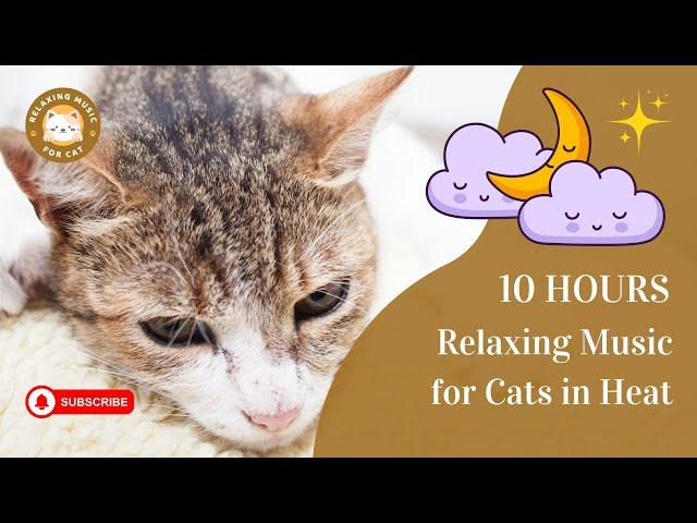 Relaxing Music for Cats in Heat 10 Hours  Soothing Sounds for Your Feline Companion