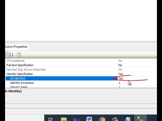 Sql server create table auto increment identity primary key