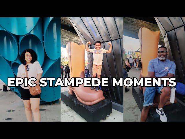 2024's MOST EPIC STAMPEDE Moments Caught on Camera