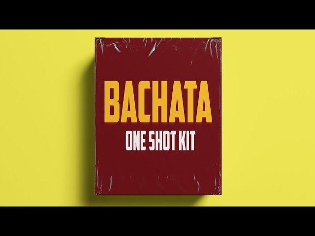 Free one shot kit / Melodic One shot (Bass,Guitar,Key,Percussion) | BACHATA