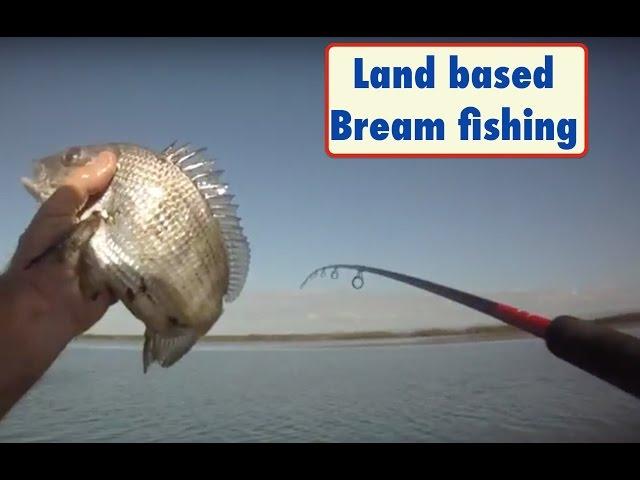 Bream fishing, land based. Land and Bay Fishing