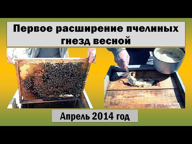 Пчеловодство  Первое расширение пчелиных гнезд весной  Начало апреля