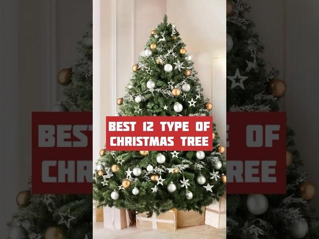 Best 12 types of Christmas tree 