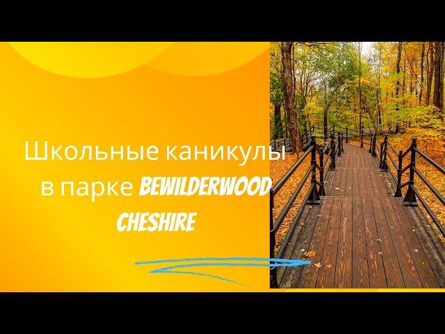 Школьные каникулы в парке Bewilderwood Cheshire.