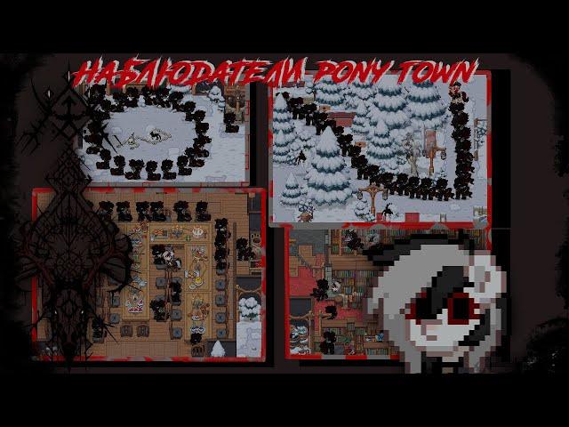 КЛАН HPT - ЧТО ЭТО ТАКОЕ? PONY TOWN