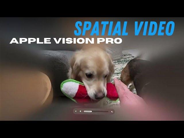 Apple Vision Pro: Spatial Video