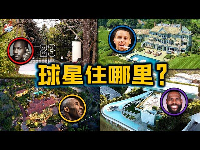 【冷飯說】NBA球星令人超乎想像的豪宅(一)：濃眉哥“盒子豪宅”似墓園，詹姆斯宅邸“鬧烏龍”！帕克莊園220,000㎡，自建水上樂園，簡直看傻眼！