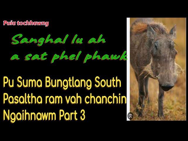 Pu Suma Bungtlang South Pasaltha thiltawn ngaihnawm Part 3 // Sanghal lu ah a sat phel phawk