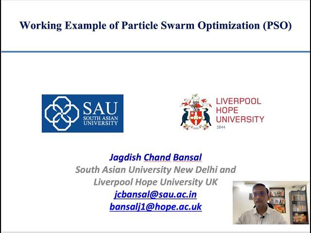 Working Example of Particle Swarm Optimization (PSO)