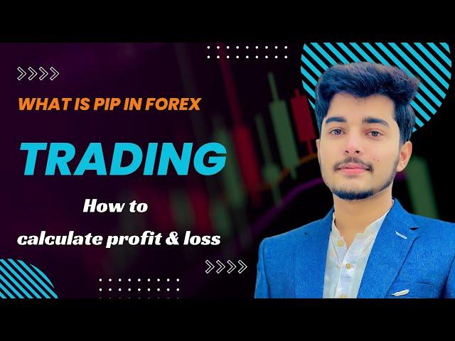 what is pip in forex trading | lot size and pip explained | calculate profit and loss in forex