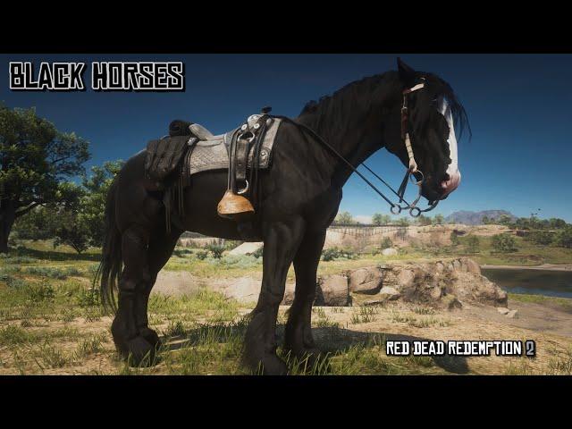 5 Best Black Horses for Arthur with Great Stats | Red Dead Redemption 2