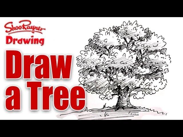 How to draw a tree in pen and ink