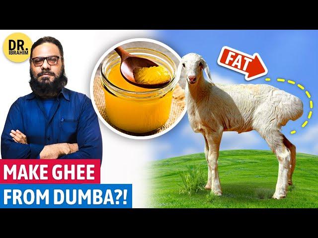 Dumba Ki Charbi Se JANGLI GHEE Banane?! Fat-Tailed Sheep | Dr. Ibrahim