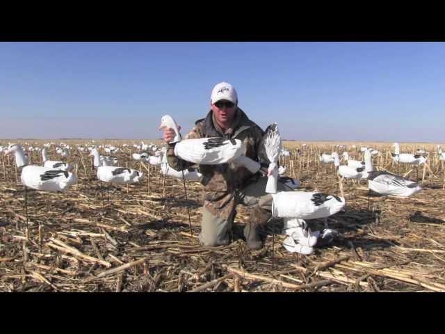 White Rock Headed Snow Goose Decoys- Product Feature