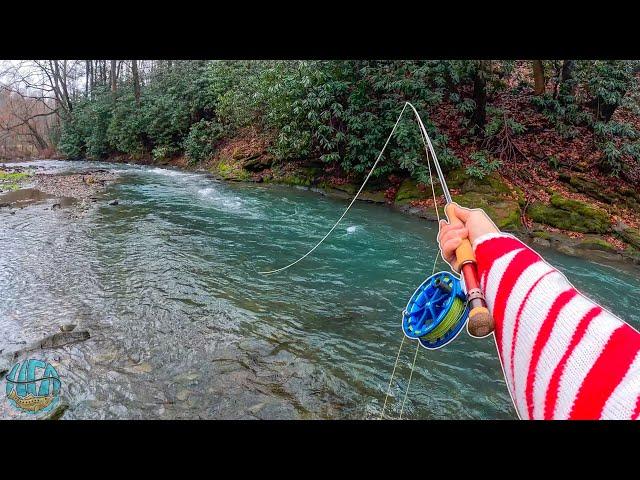 Streamer Fly Fishing for Big Trout! (Winter Trout Fishing)