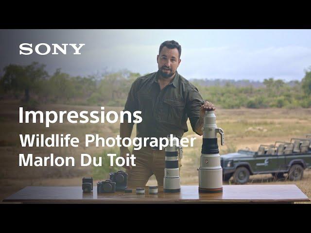 Bring Wildlife Closer to You | Impression by Wildlife Photographer Marlon Du Toit | Sony | Lens