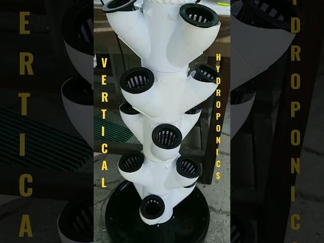 Vertical hydroponics технологии садоводства