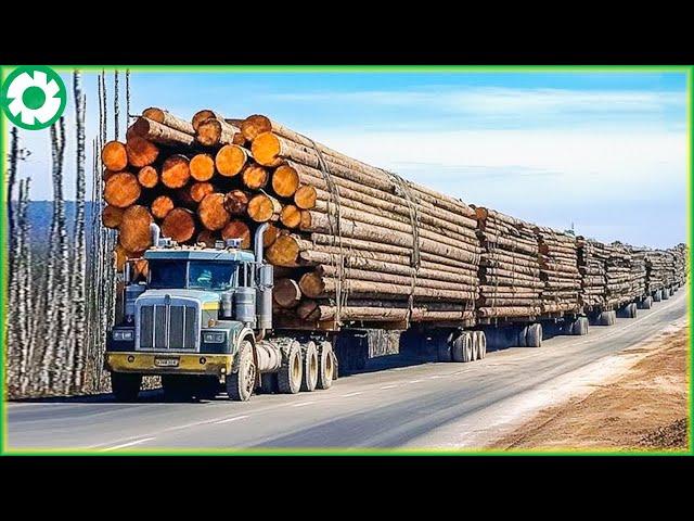 Transport Skill Operations Oversize Truck Biggest Heavy Equipment Machines | Best of Month