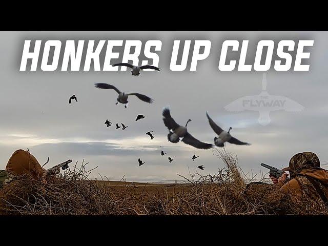 Late Season GOOSE HUNT (Honker Beatdown)