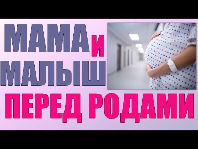 ПОСЛЕДНИ ДНИ ПЕРЕД РОДАМИ | Что чувствует и как себя ведет женщина и ребенок перед началом родов