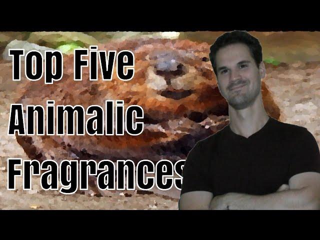 Top 5 Animalic Fragrances || Best Civet & Castoreum Fragrances