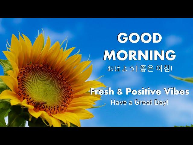 60 Mins Perfect Morning Vibes: Feel Refreshed and Positive with Acoustic Instrumental Playlist!