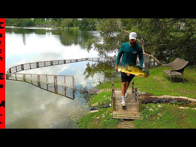 BUILDING Pet FISH WALL in LAKE!