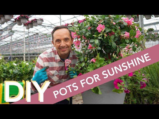 DIY Pot for Sunshine | Frankie Flowers