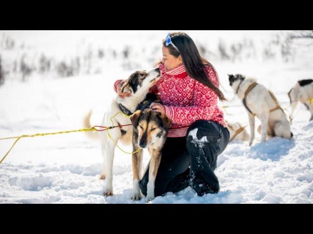 Experiencing the Fjord Norway  winter magic