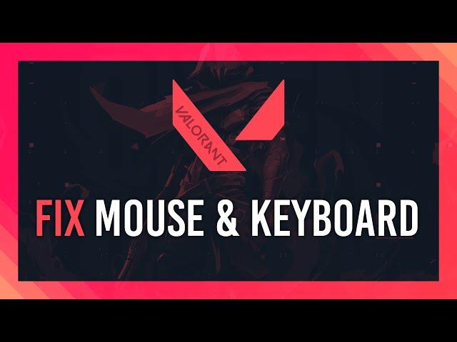 Fix Disabled Mouse & Keyboard | Valorant 2024