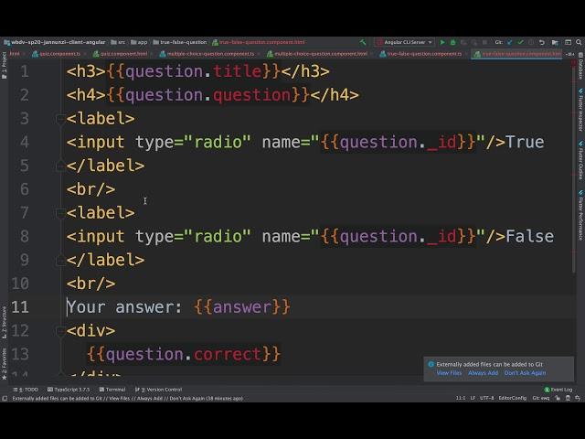 Binding radio buttons to variables in Angular cs4550 sp20 12115