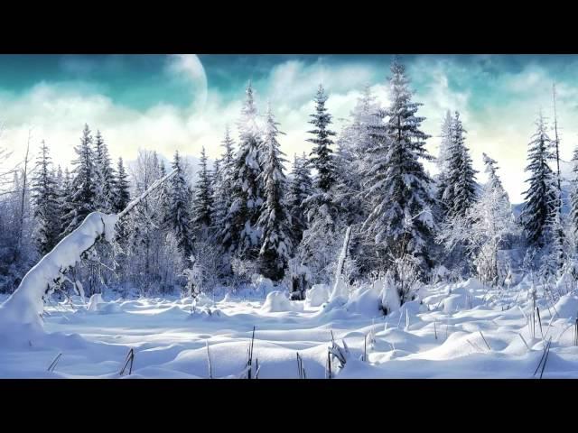 Vivaldi-El Invierno-Las cuatro estaciones-Salzburger Kammerorchester