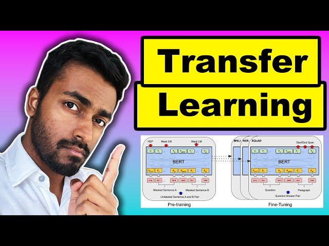 Transfer Learning - EXPLAINED!