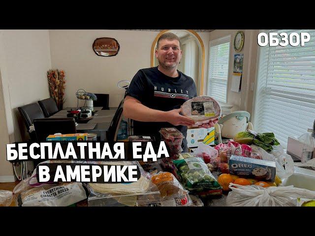 США ШИКАРНАЯ БЕСПЛАТКА В США / НАМ ДАЛИ ВСЕ ЧТО МЫ ЛЮБИМ / ПОМОЩЬ И ЭКОНОМИЯ USA