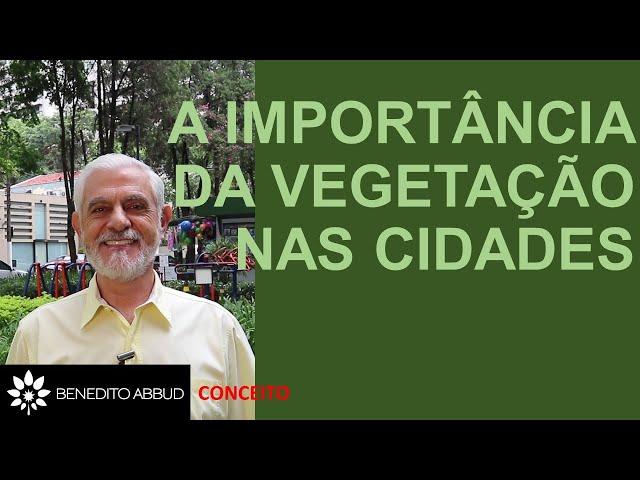 A IMPORTÂNCIA DA VEGETAÇÃO NAS CIDADES