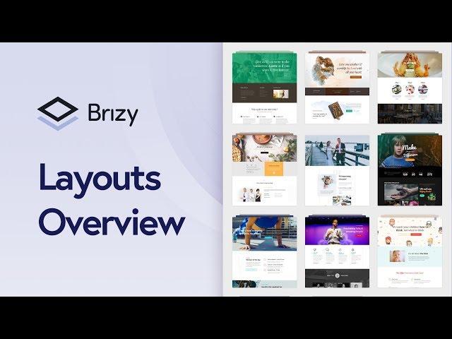 Create Amazing Layouts Instantly with Brizy Pro!