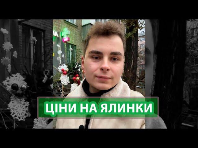 Ялинкові ярмарки у Києві 2024: ціни, де купити, та який варіант обрати? | Думки киян | Реальний Київ