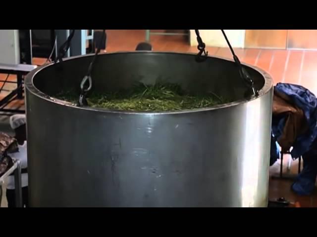 WISI Essential Oil Distillation Process