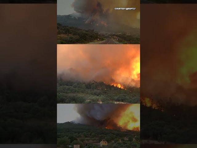 Spain: Massive Wildfires Hit Caceres Province Amid Heatwave; Watch | #Shorts