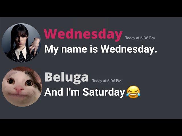 When Beluga meets Wednesday...