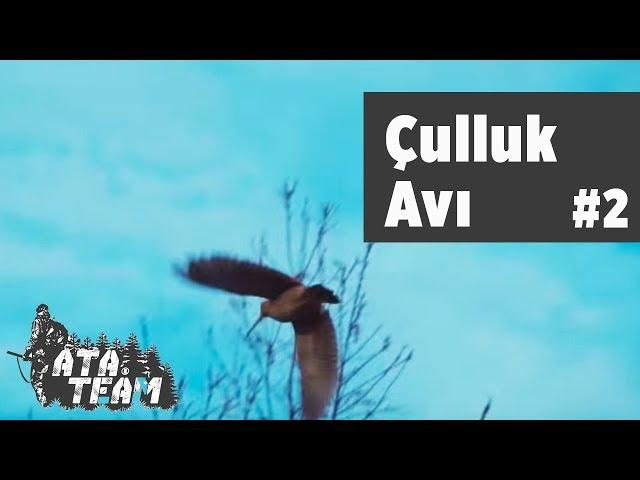 Çulluk Avı  Ata Team 2. Bölüm  Yaban Tv Woodcock Hunting