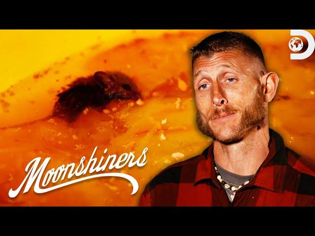 When Moonshine Batches Go Wrong | Moonshiners | Discovery