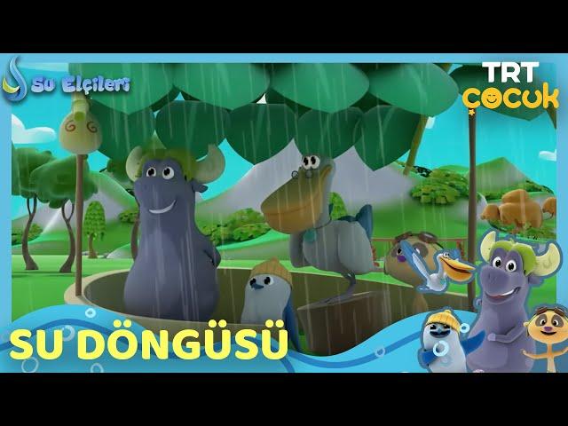 Su Elçileri | Su Döngüsü