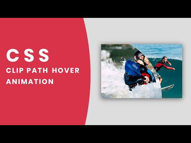 Amazing Image Clip Path Hover Animation | CSS Clip path Property