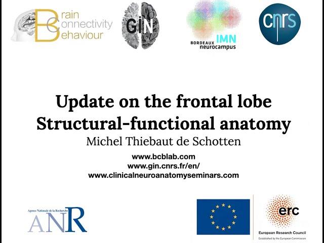 The Frontal Lobes - An Update on their structural and functional anatomy