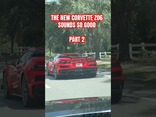 THE NEW CORVETTE Z06 SOUNDS SO GOOD #pov #automobile #youtubeshorts #car #trending #viralvideo