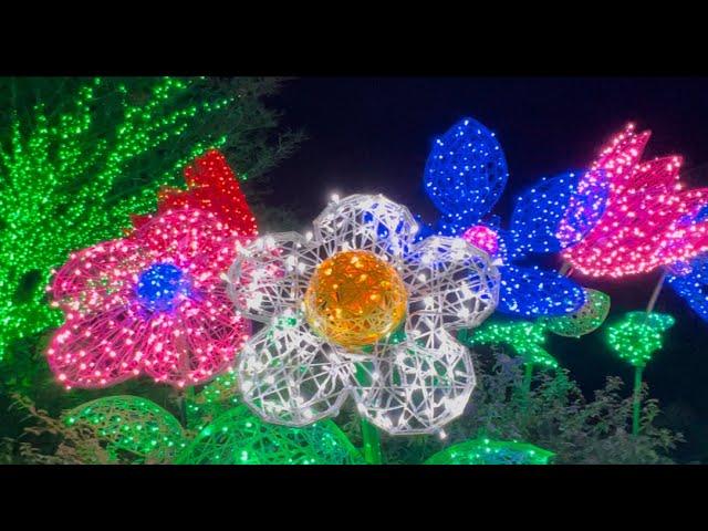 Christmas Lights at the Atlanta Botanical Garden - Garden Lights Holiday Nights 2024