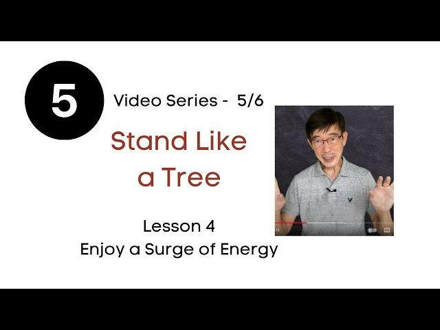 zhan zhuang - Little known ways to bring you a surge of energy (5/6)