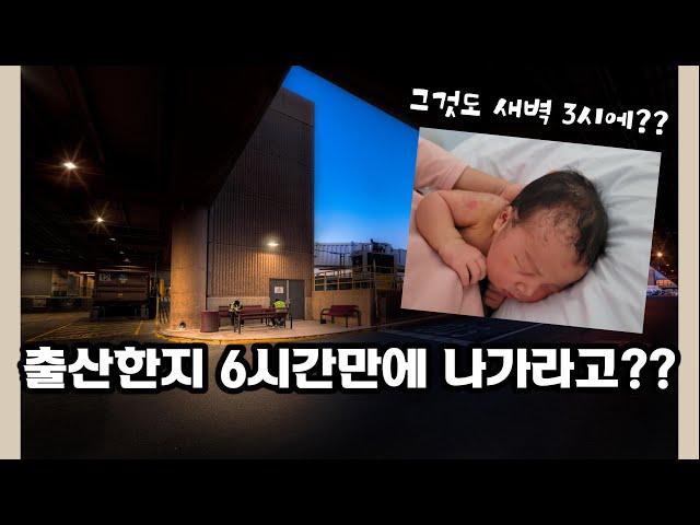 I was kicked off after 6 hours giving birth from a hospital/출산후 6시간만에 병원에서나오다, 뉴질랜드출산후기