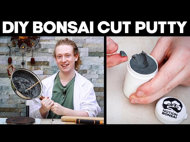 How To Make Cut Putty For Bonsai Trees